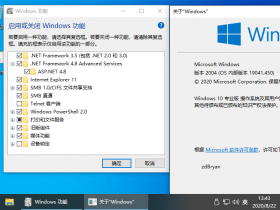 【老毛子】Windows 10 v2004.19041.450 精简专业版 - 果核剥壳操作系统