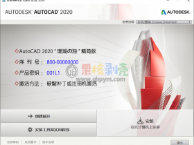AutoCAD 2020 精简修改版 - 果核剥壳操作系统