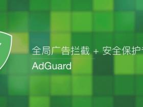 【正版特惠】AdGuard 广告拦截隐私保护 价格低至 88 永久！ - 果核剥壳操作系统