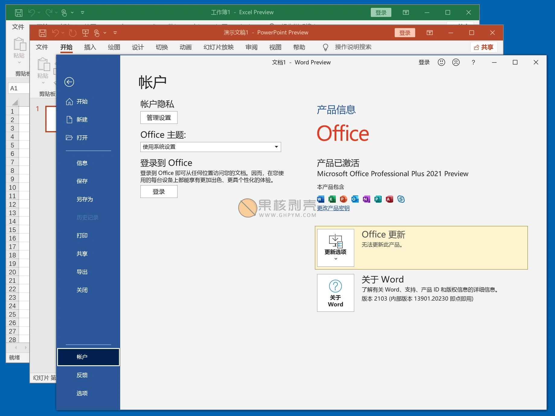 Office 2021 RTM 中文正式版 离线镜像 - 果核剥壳